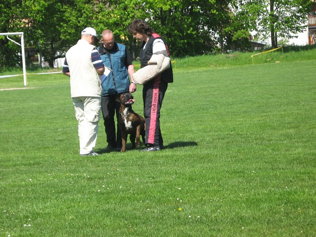 www.atibox.net * www.euroboxer.eu * www.boxergenealogia.eu